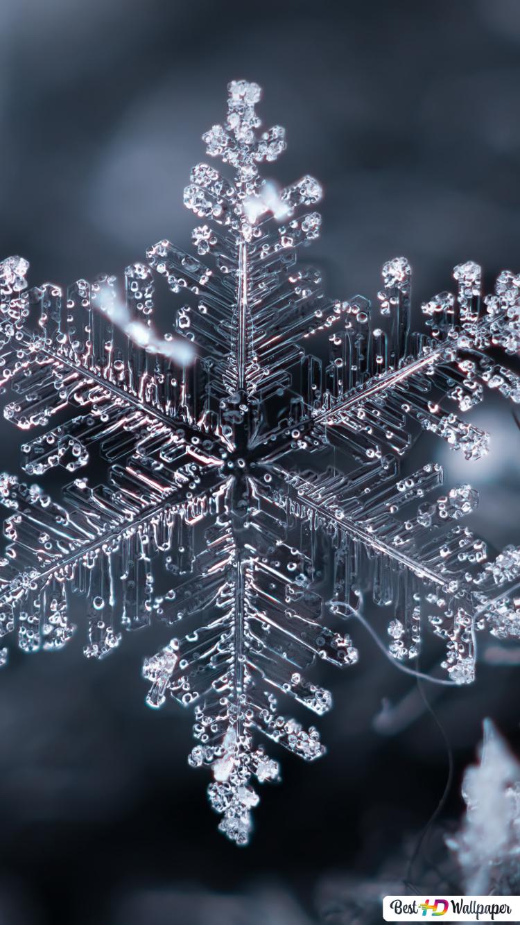 Snowflake Burning Wallpapers