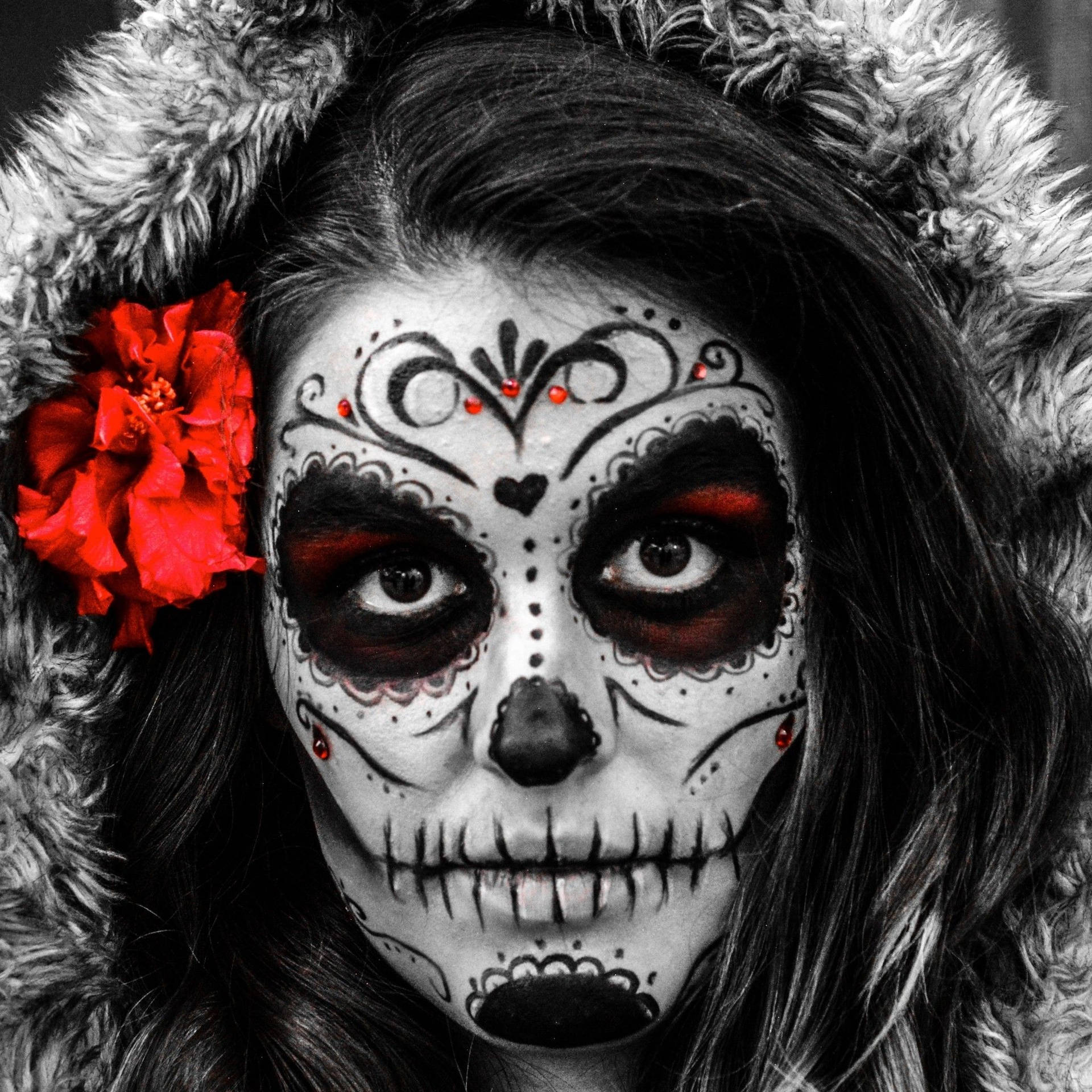 Sugar Skull Wallpapers