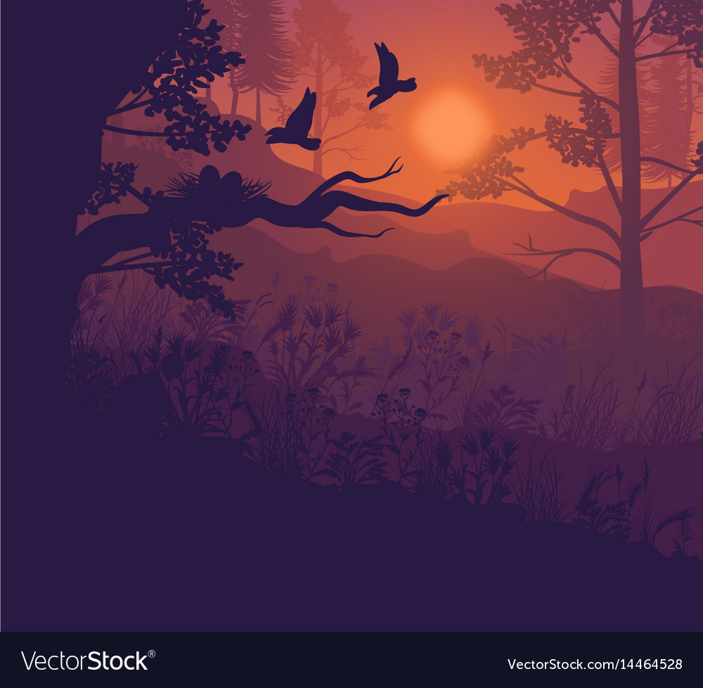 Sunrise In Forest Landscape Illustrate Wallpapers