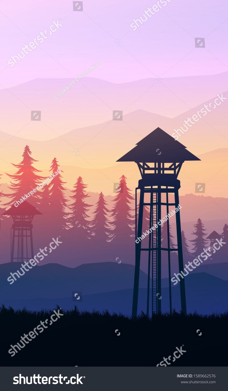 Sunrise In Forest Landscape Illustrate Wallpapers