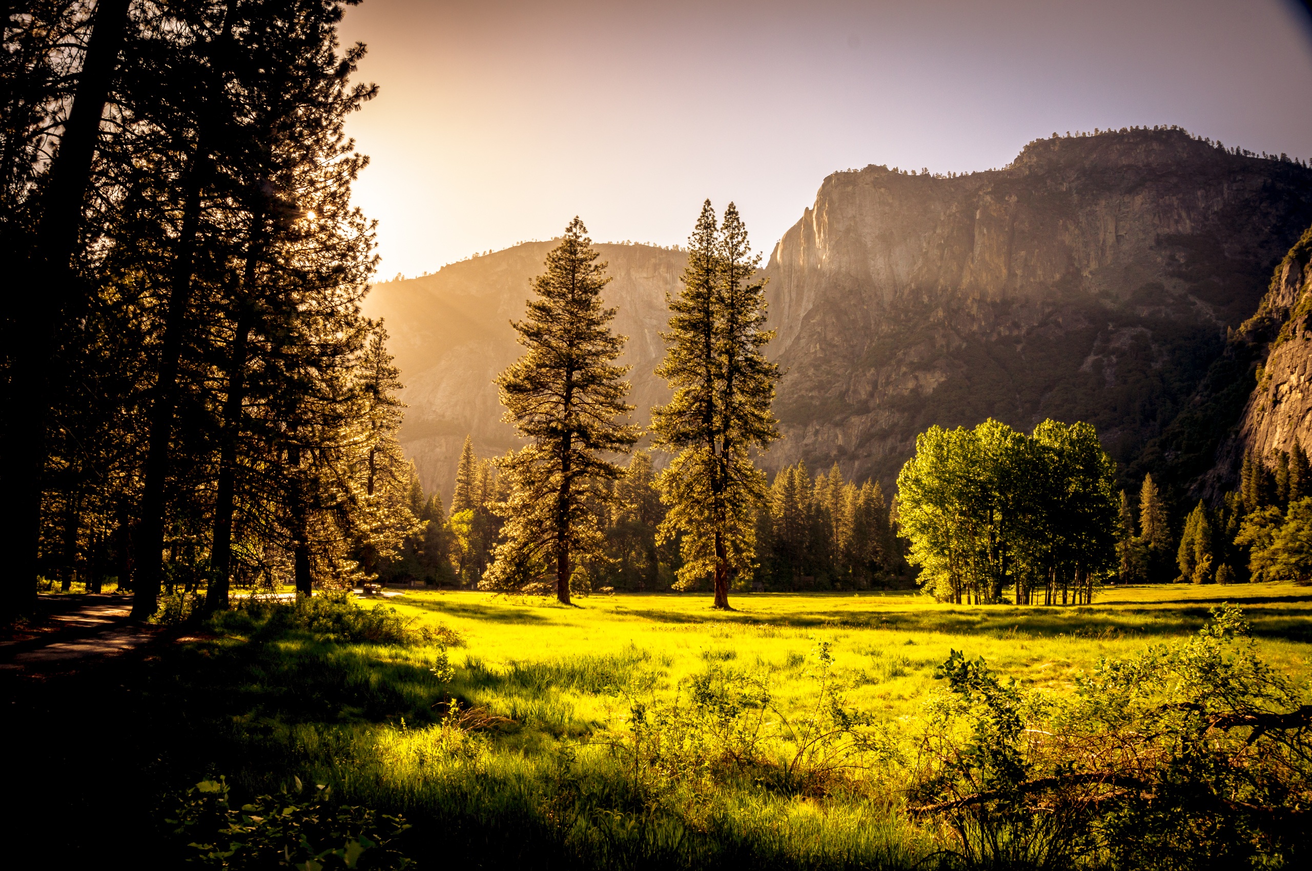 Sunrise In Forest Landscape Illustrate Wallpapers