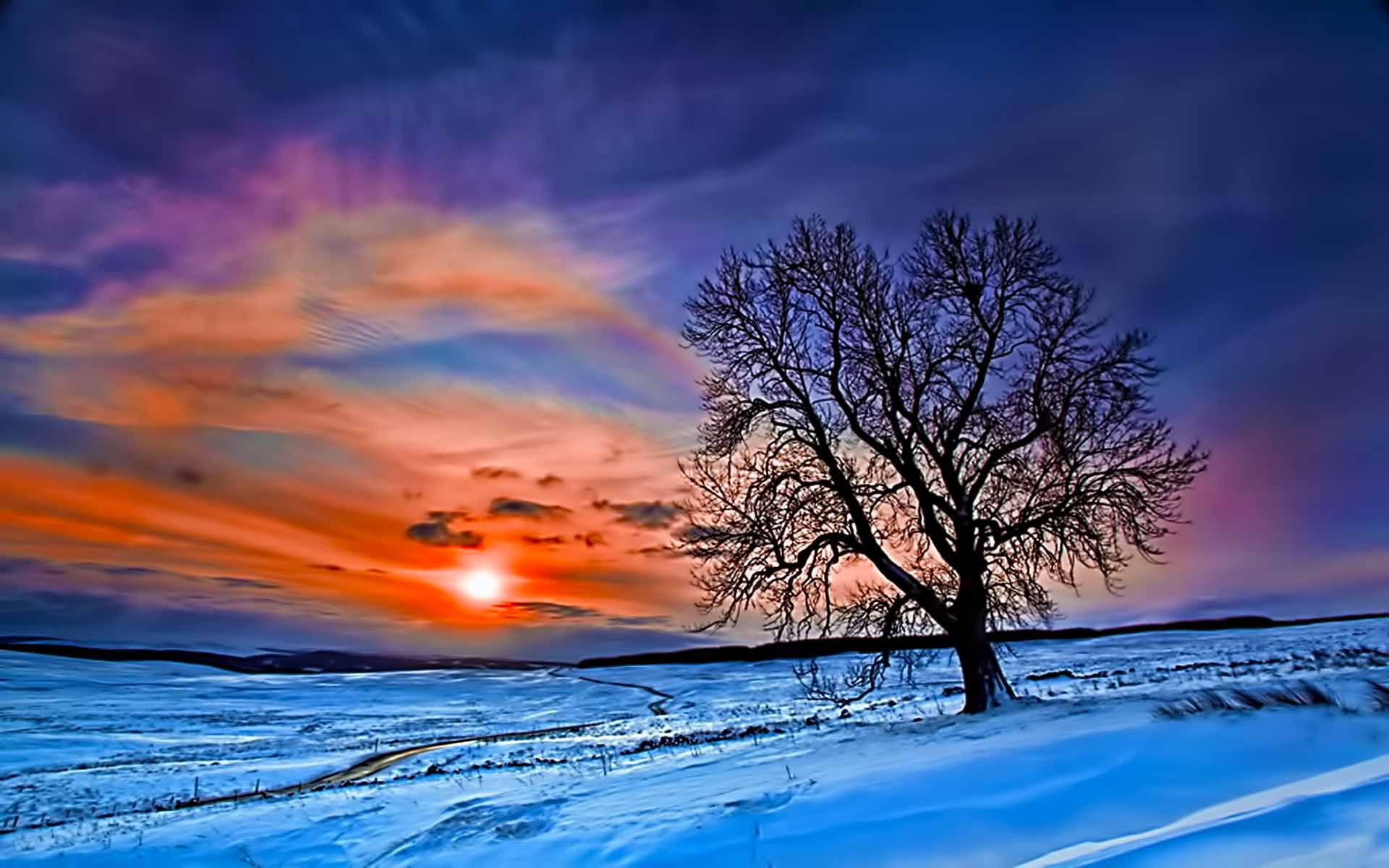 Sunrise Winter Forest Art Wallpapers