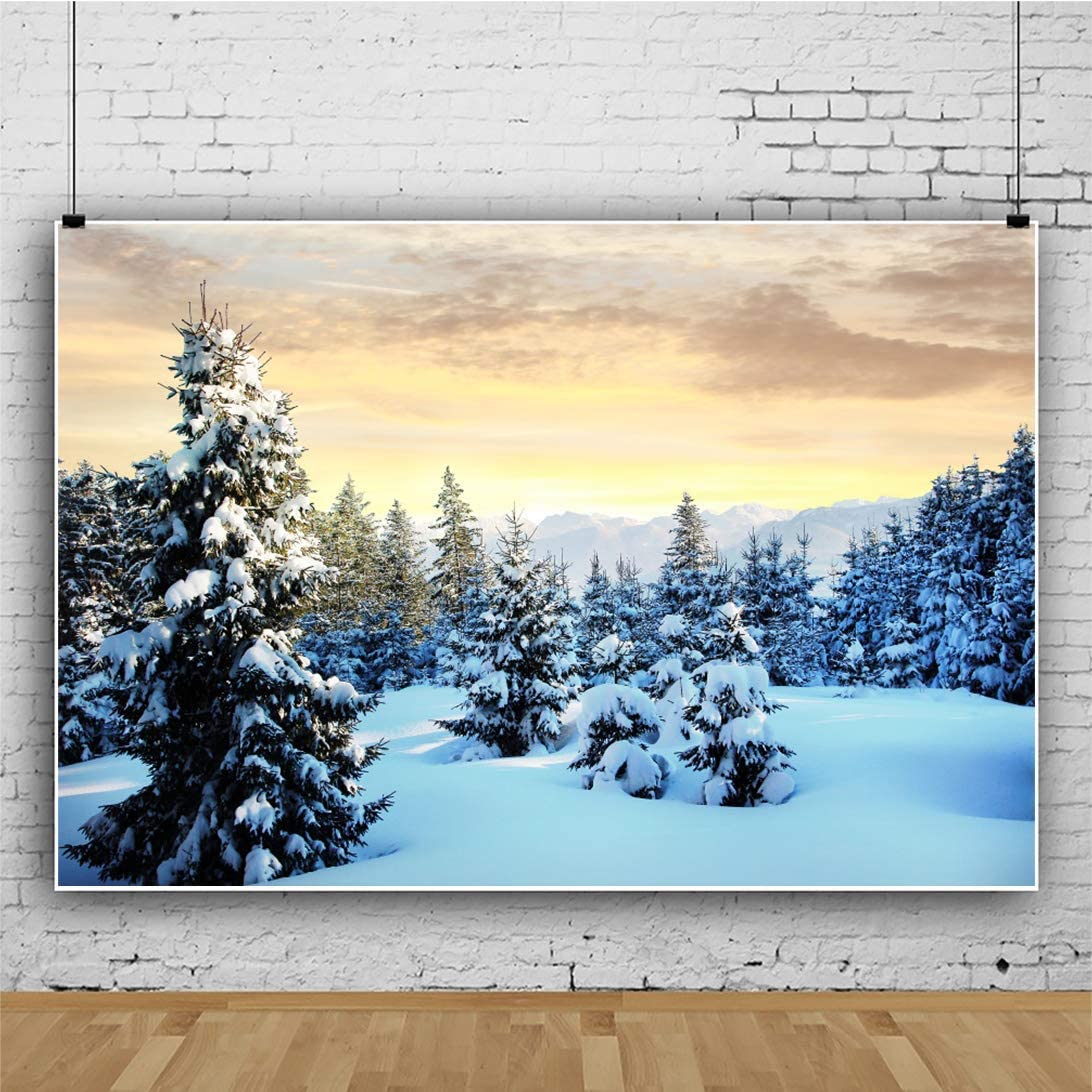 Sunrise Winter Forest Art Wallpapers