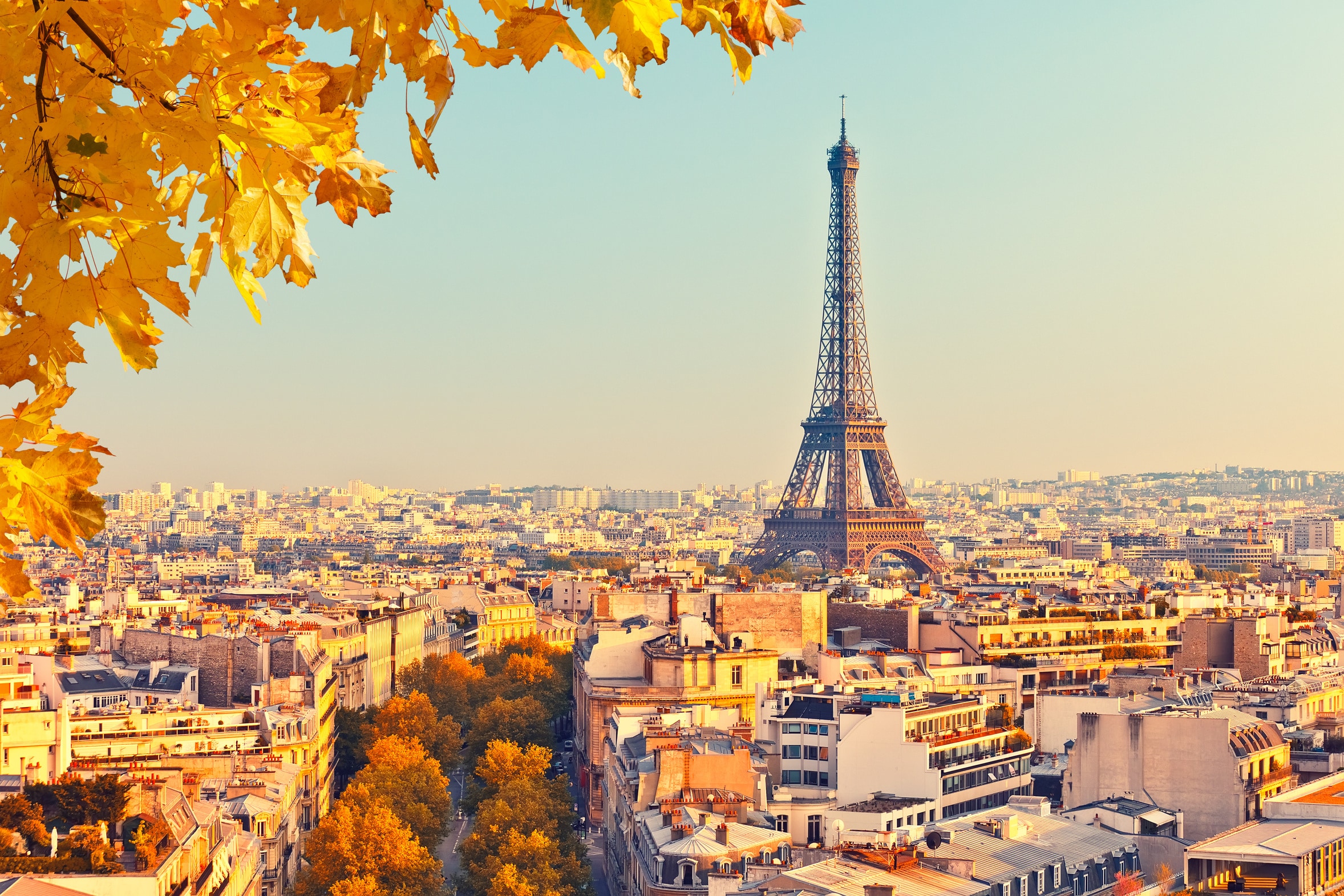 The Eiffel Tower Paris View Through An Open Window Wallpapers