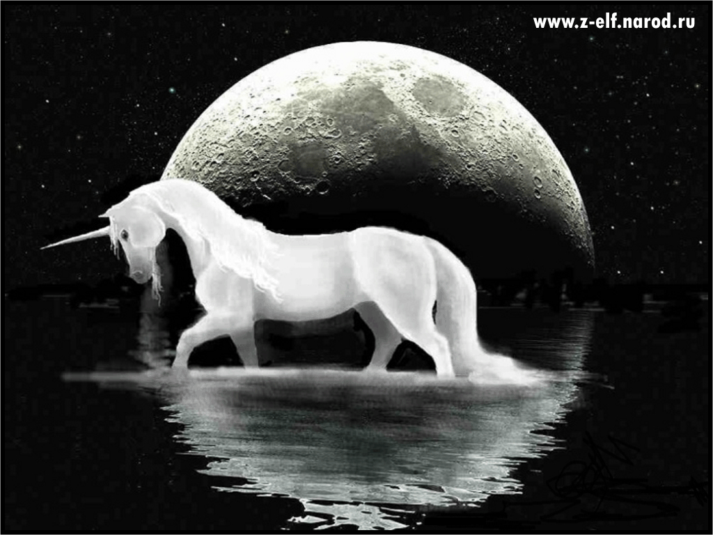 Unicorn Horse Full Moon Wallpapers