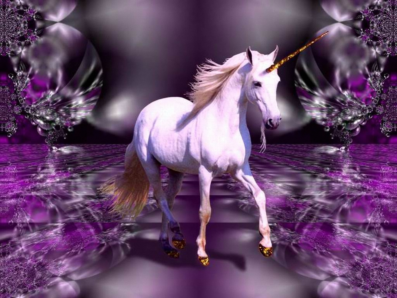 Unicorn Horse Full Moon Wallpapers