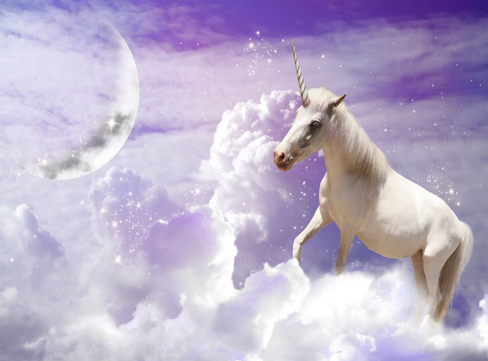 Unicorn Horse Full Moon Wallpapers