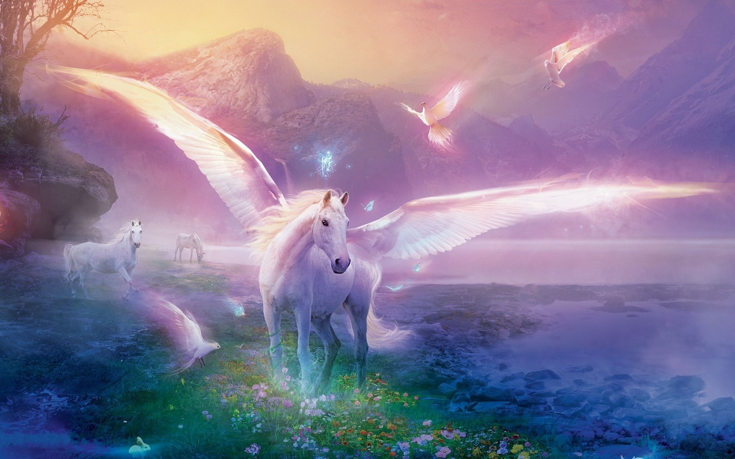 Unicorn In Field Wallpapers