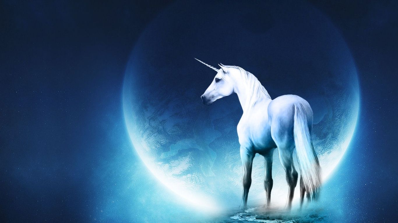 Unicorn In Field Wallpapers