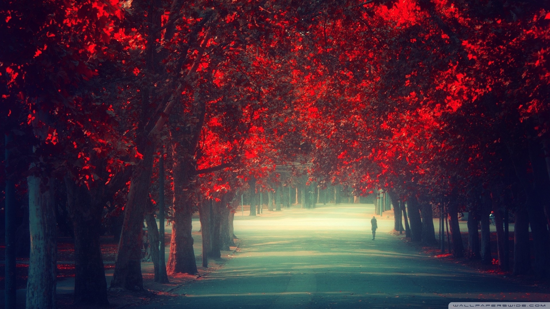 Walking Alone Digital Wallpapers