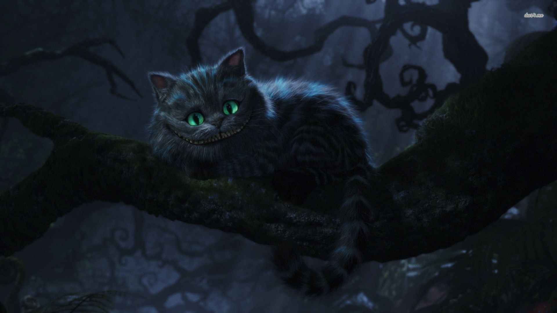 We Are All Mad Here Cheshire Cat Wallpapers