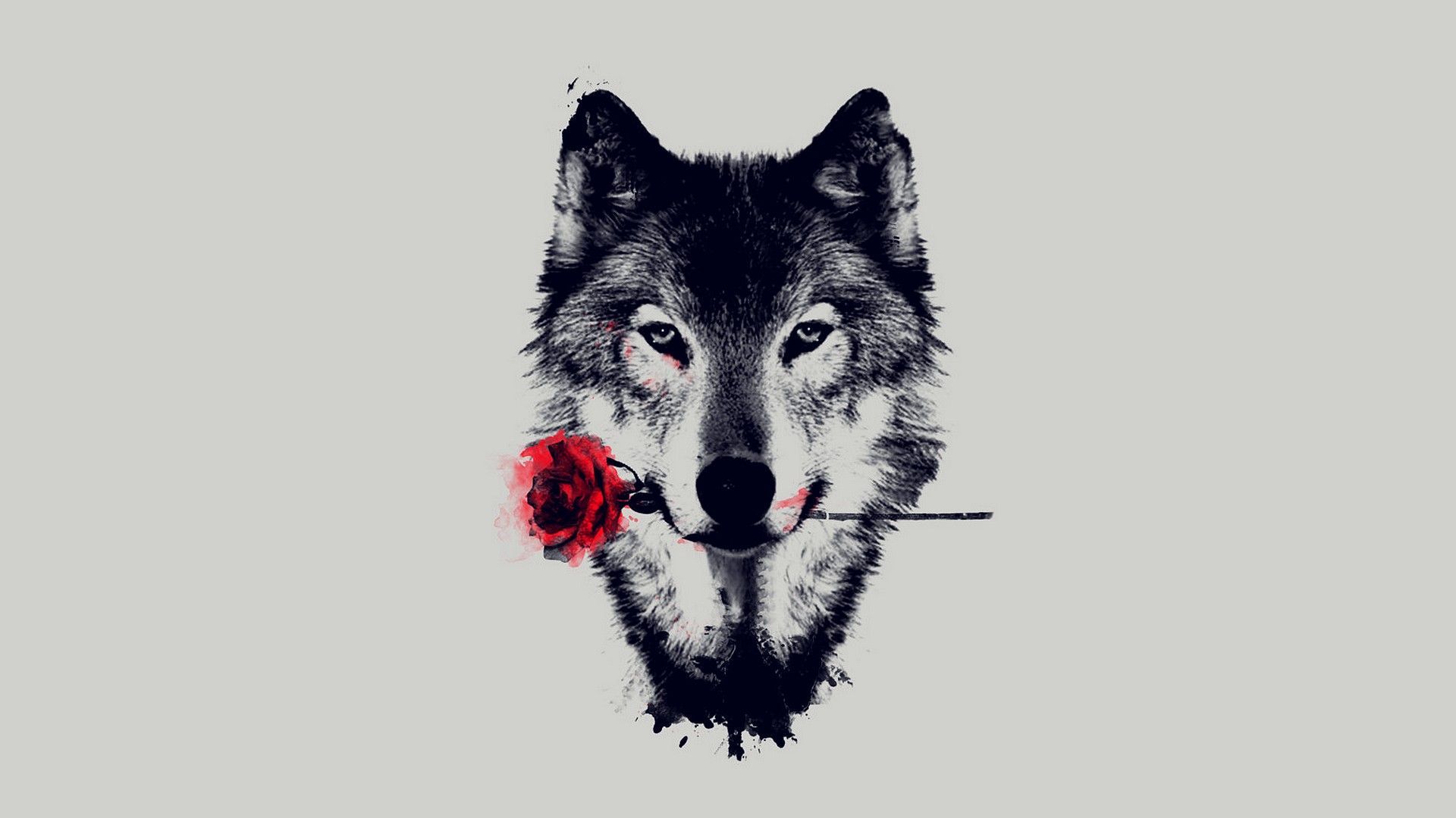 Wolf And Landscape Illustration Wallpapers