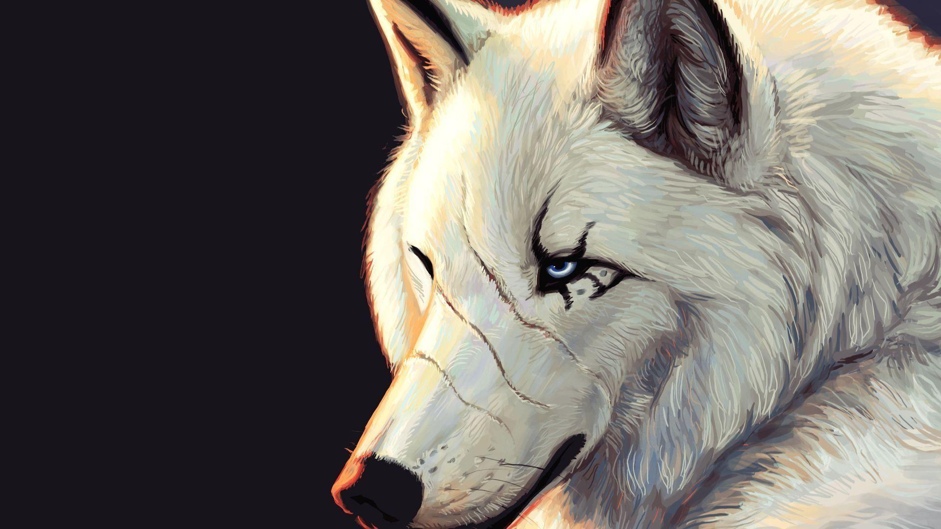 Wolf And Landscape Illustration Wallpapers