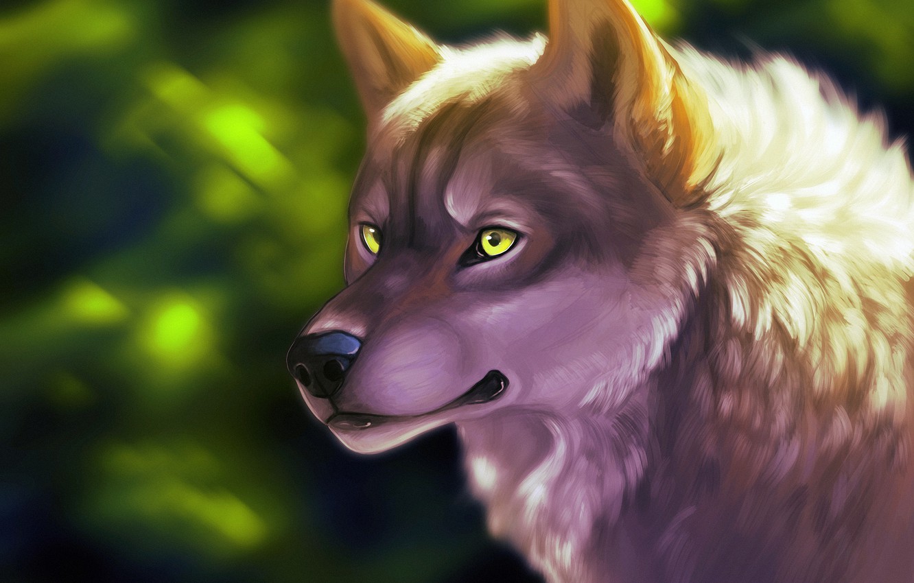 Wolf Green Eyes Artistic Wallpapers