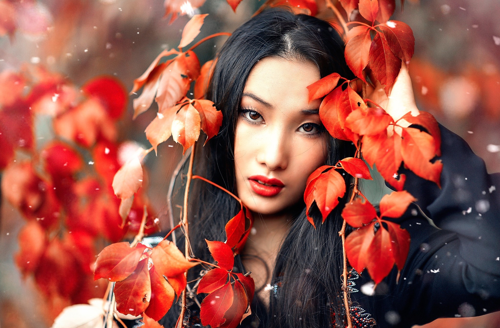 Woman Artistic Face With Lipstick And Poinsettia Leaf Wallpapers