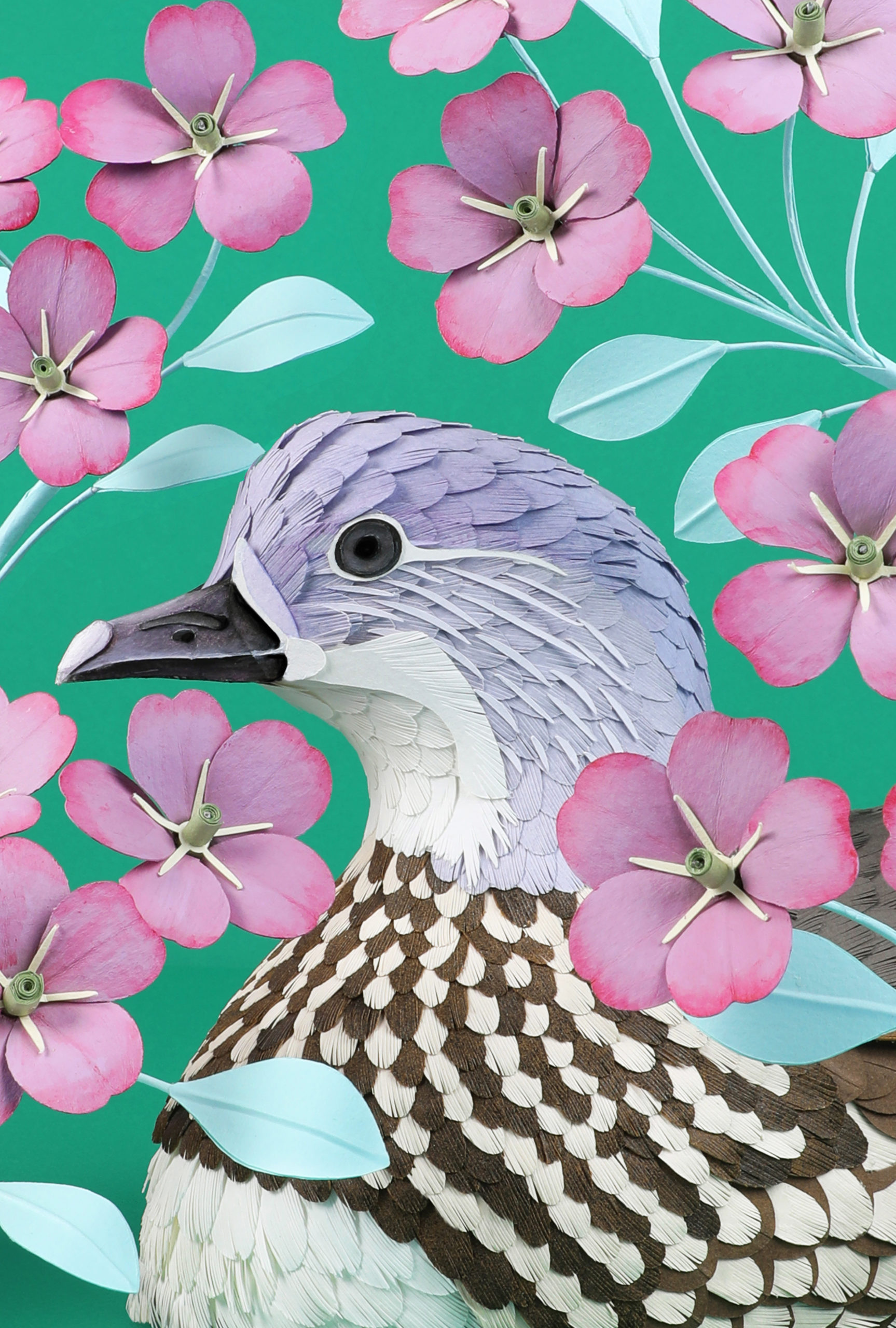 Women And Birds Inside Sun Digital Art Wallpapers