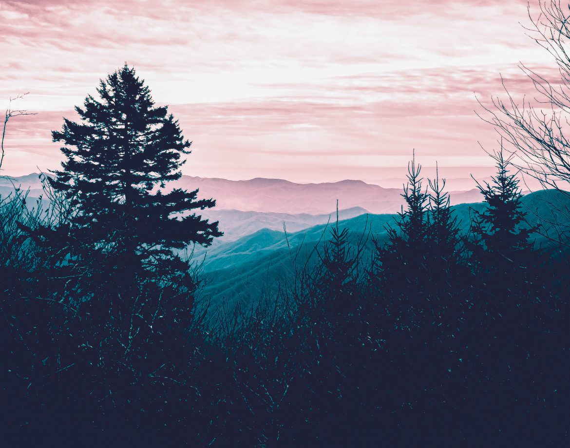 Forest Mountains Sunset Cool Weather Minimalism Wallpapers