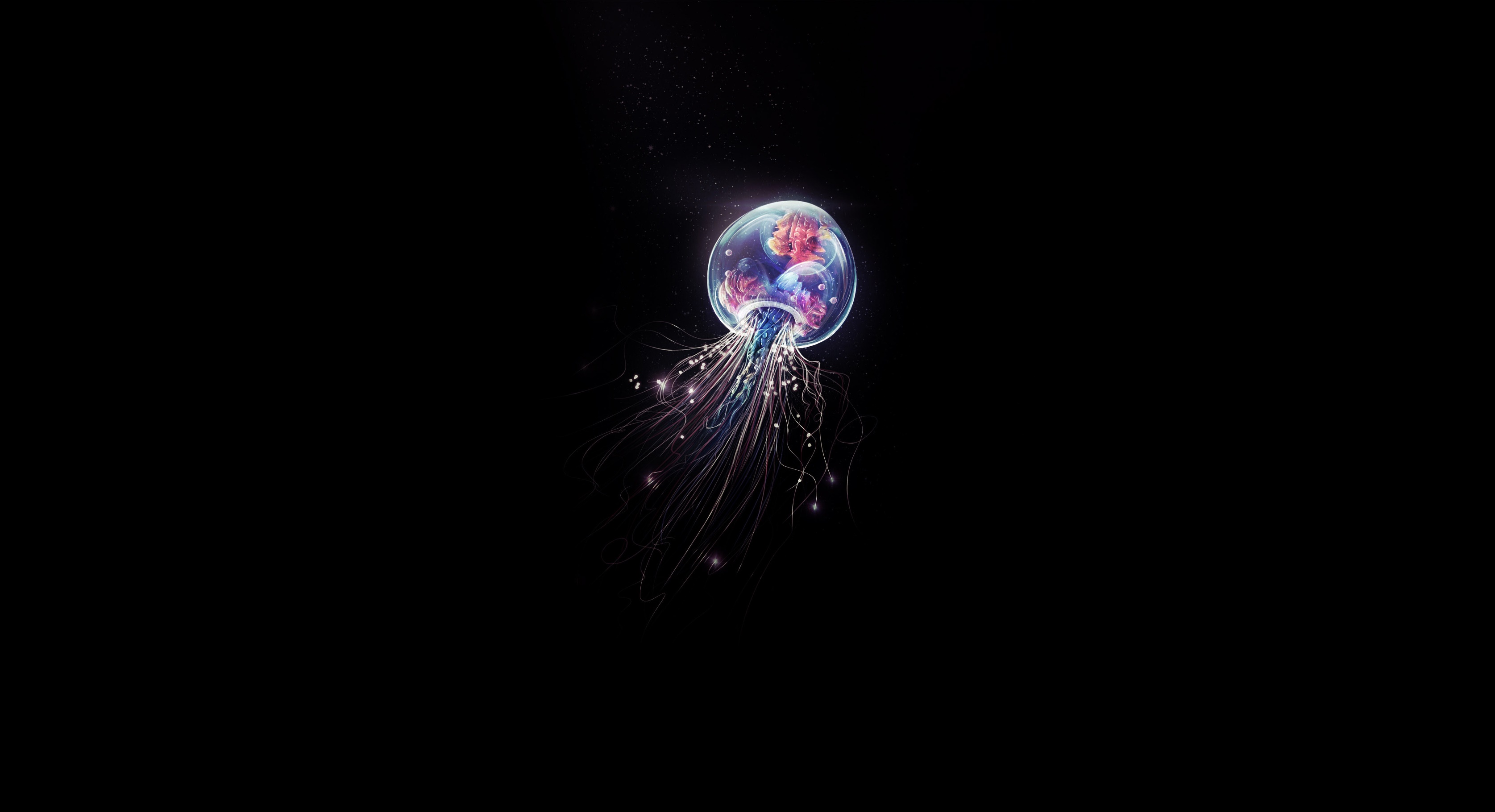 Jellyfish Minimal Art Wallpapers