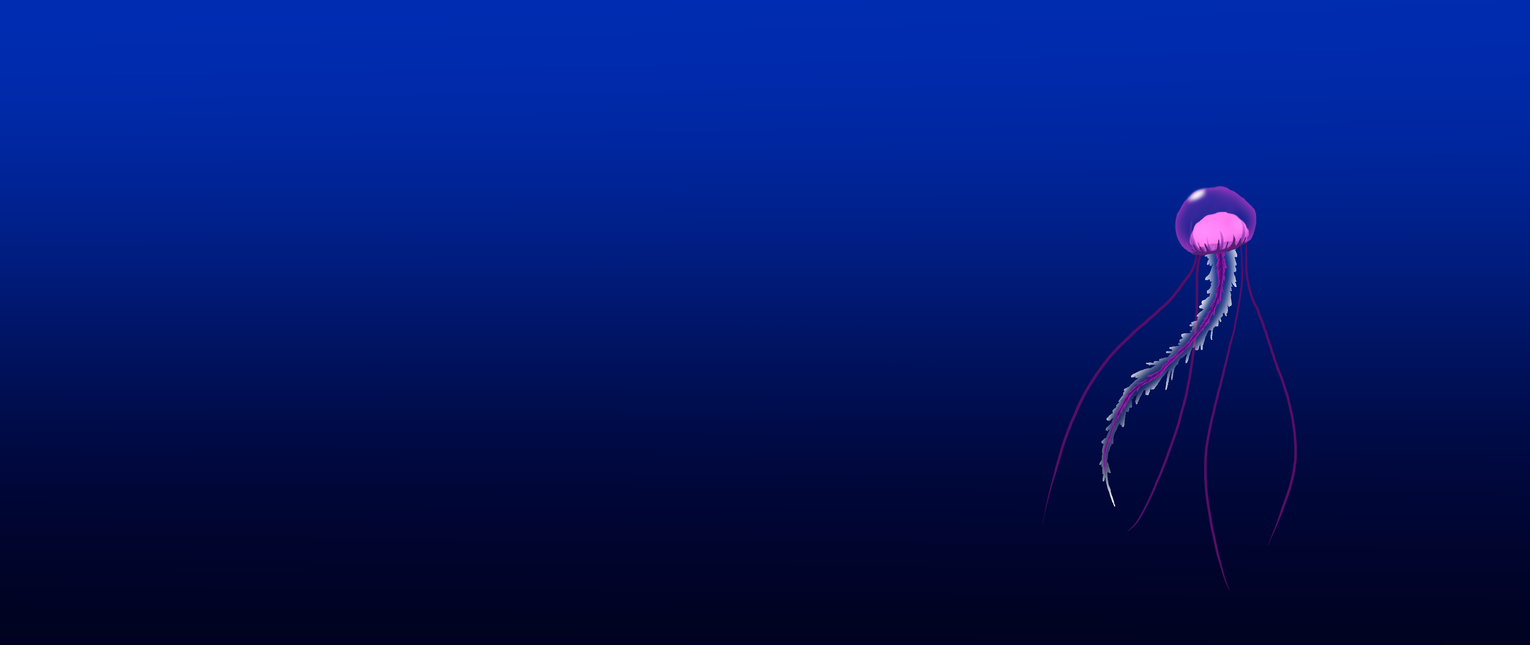 Jellyfish Minimal Art Wallpapers