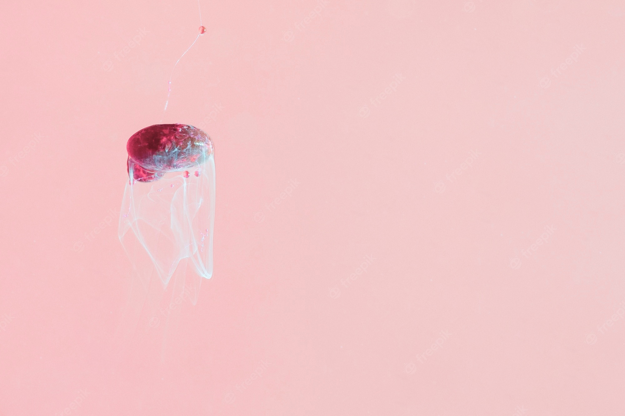 Jellyfish Minimal Art Wallpapers