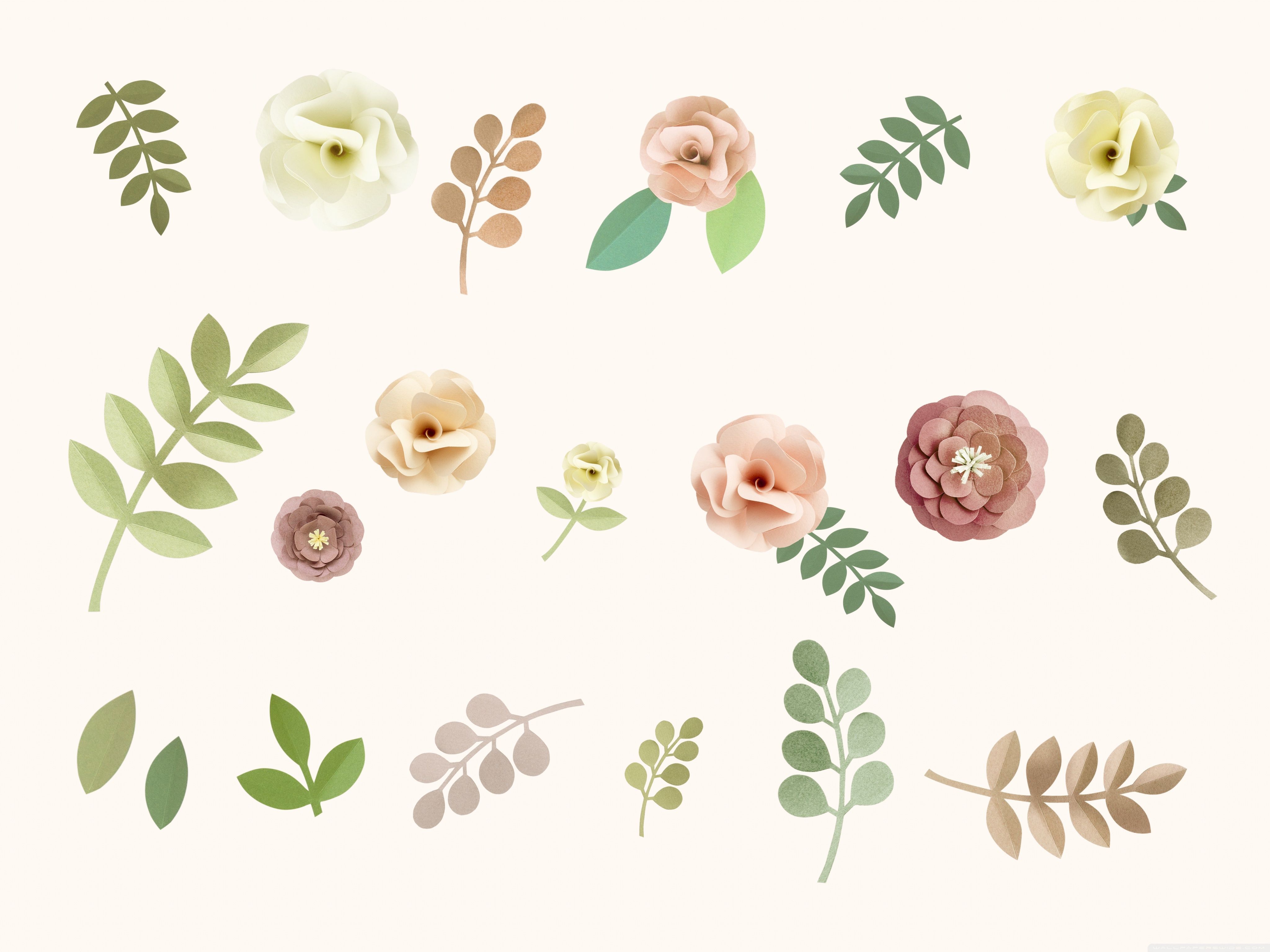 Minimal Flower Wallpapers