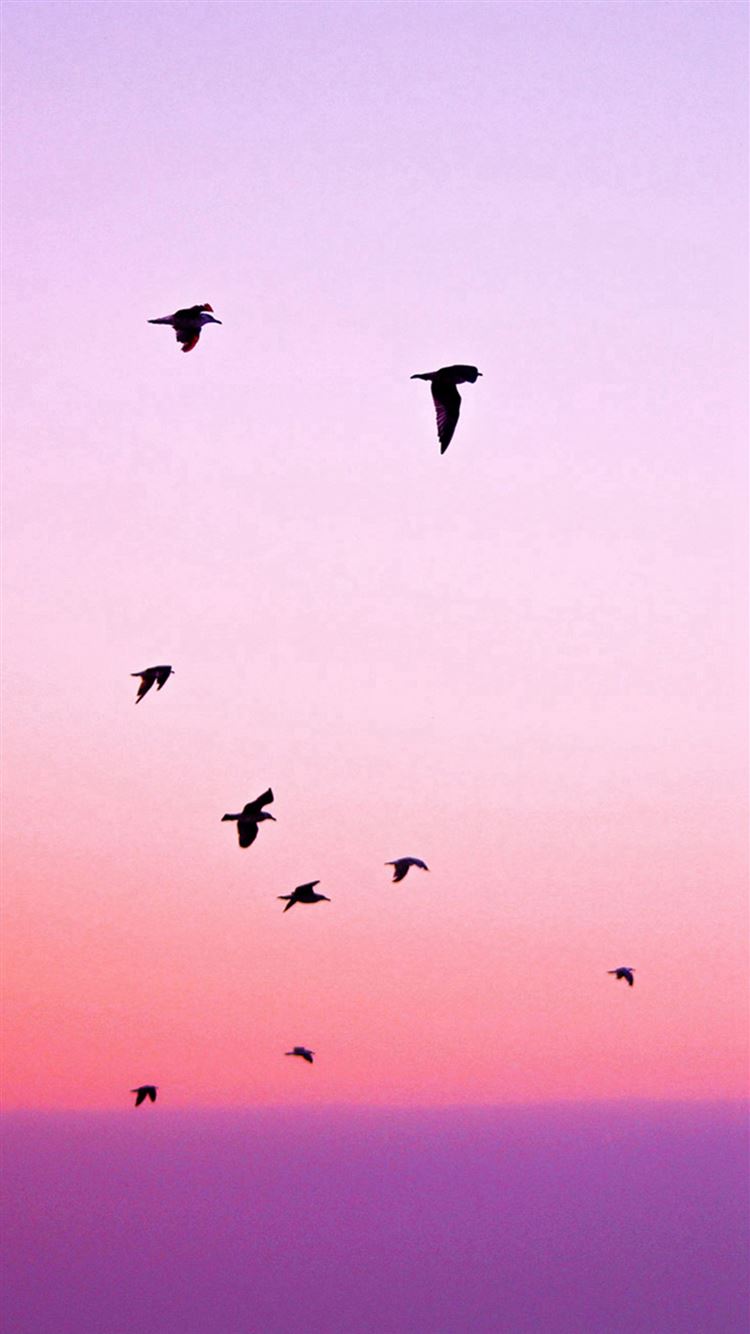 Minimal Sunset, Purple Mountains And Birds Wallpapers