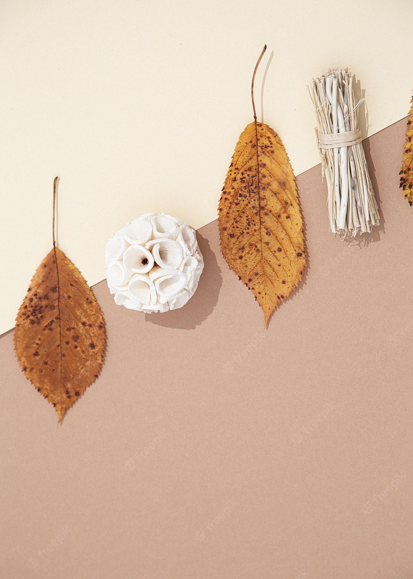 Minimalism Autumn Wallpapers