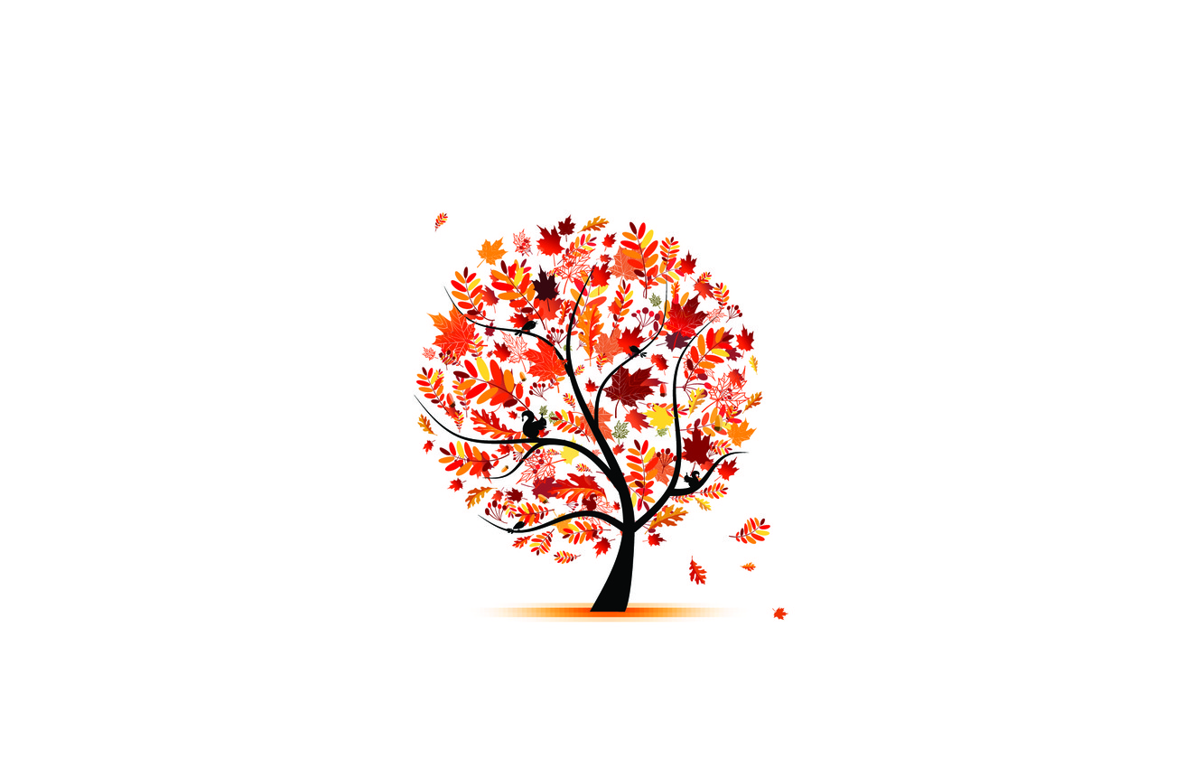 Minimalist Autumn Wallpapers