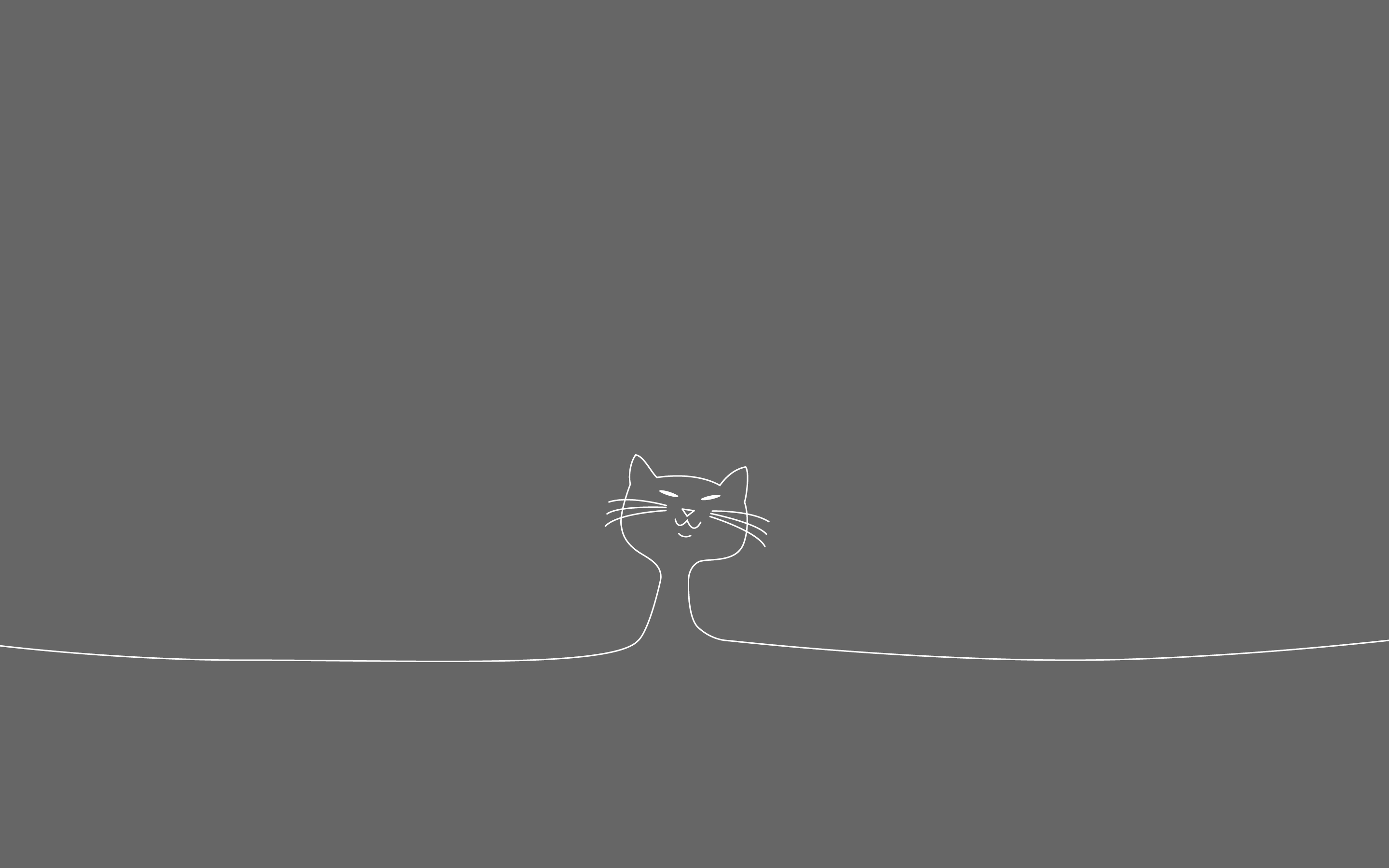 Minimalist Cat Desktop Wallpapers