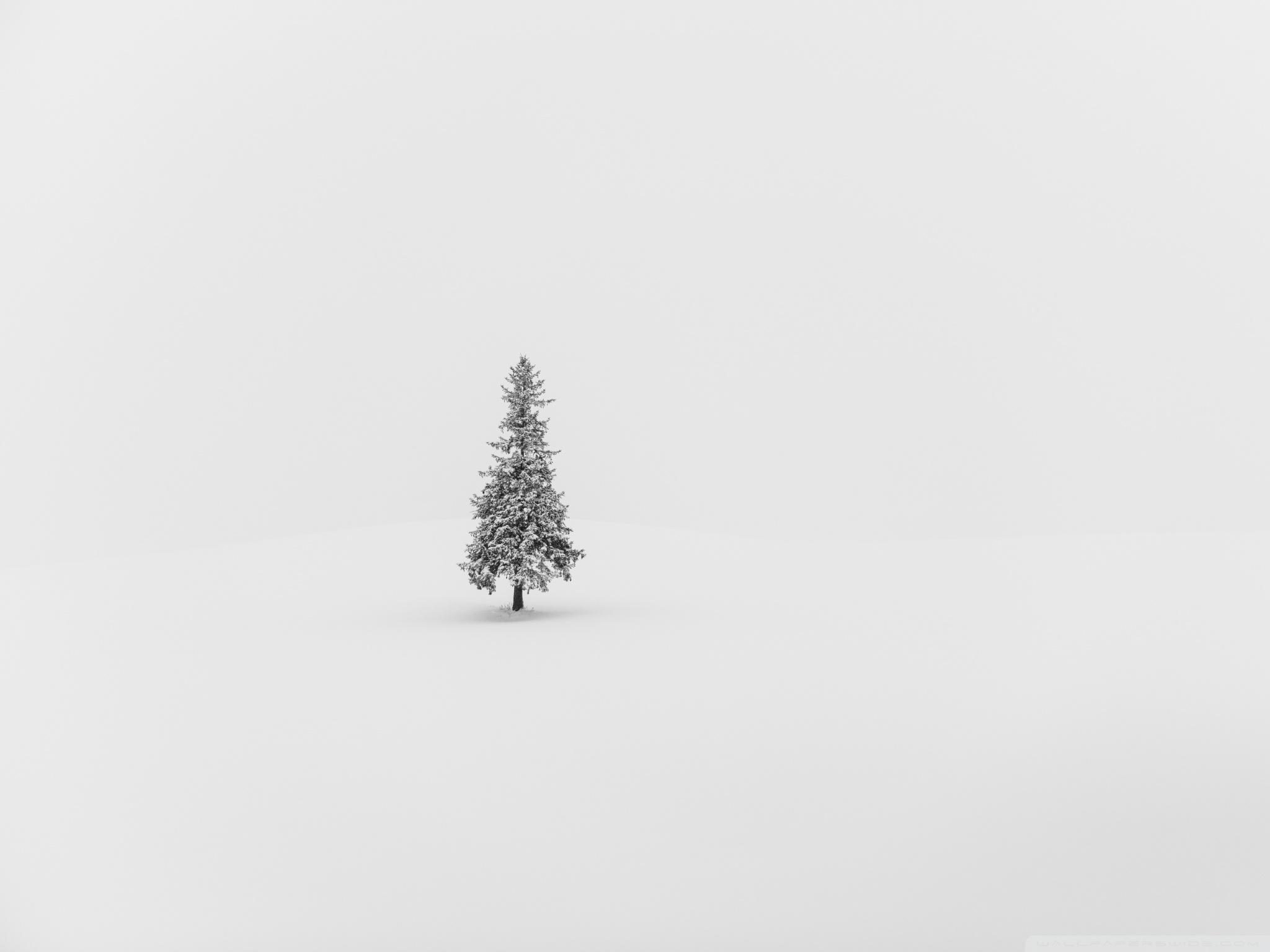 Minimalist Christmas Wallpapers