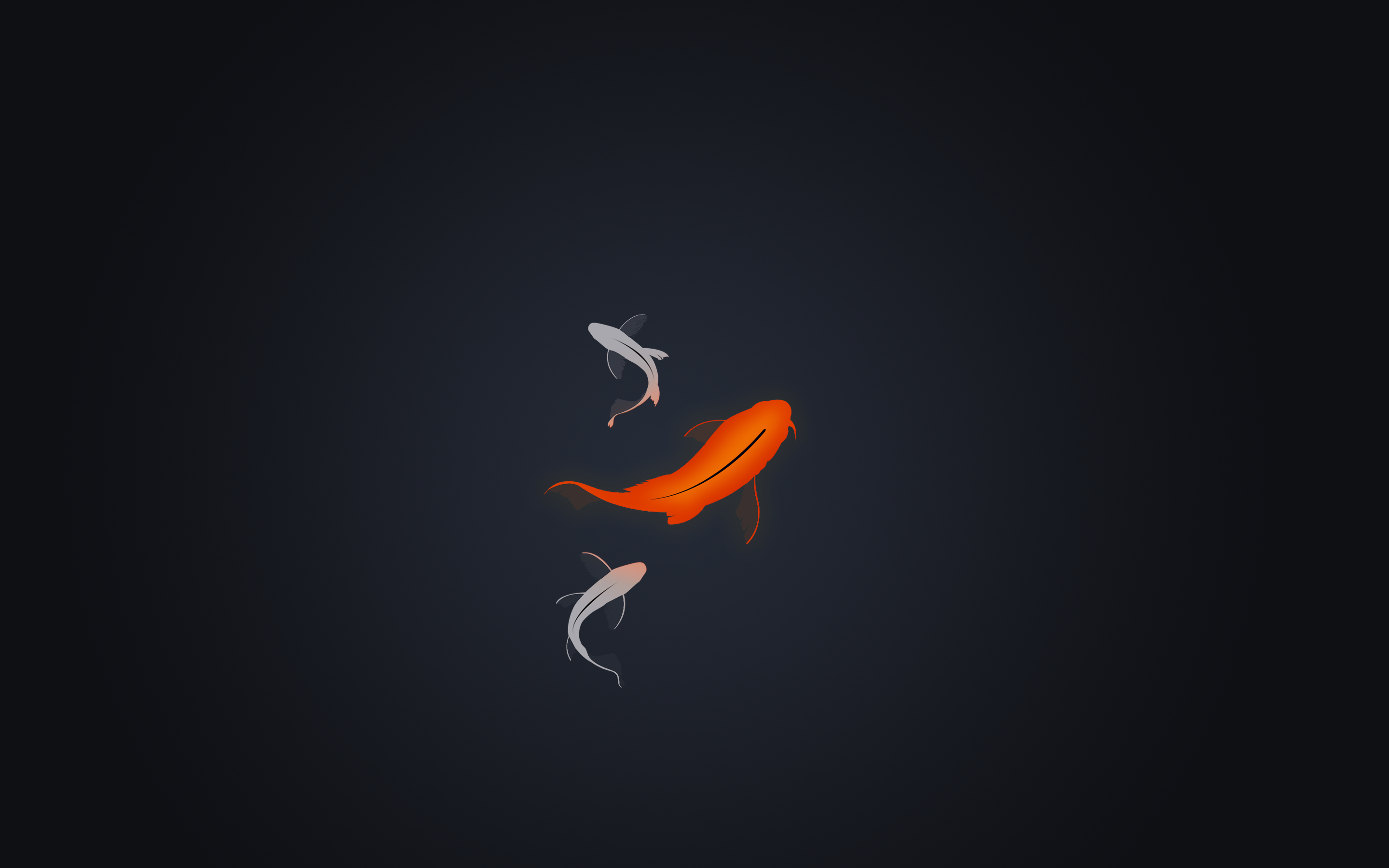 Minimalist Fish Wallpapers