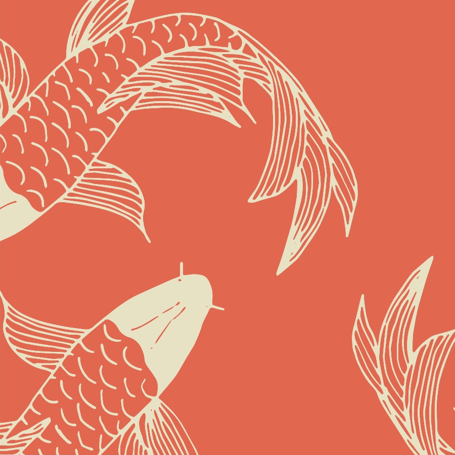 Minimalist Fish Wallpapers