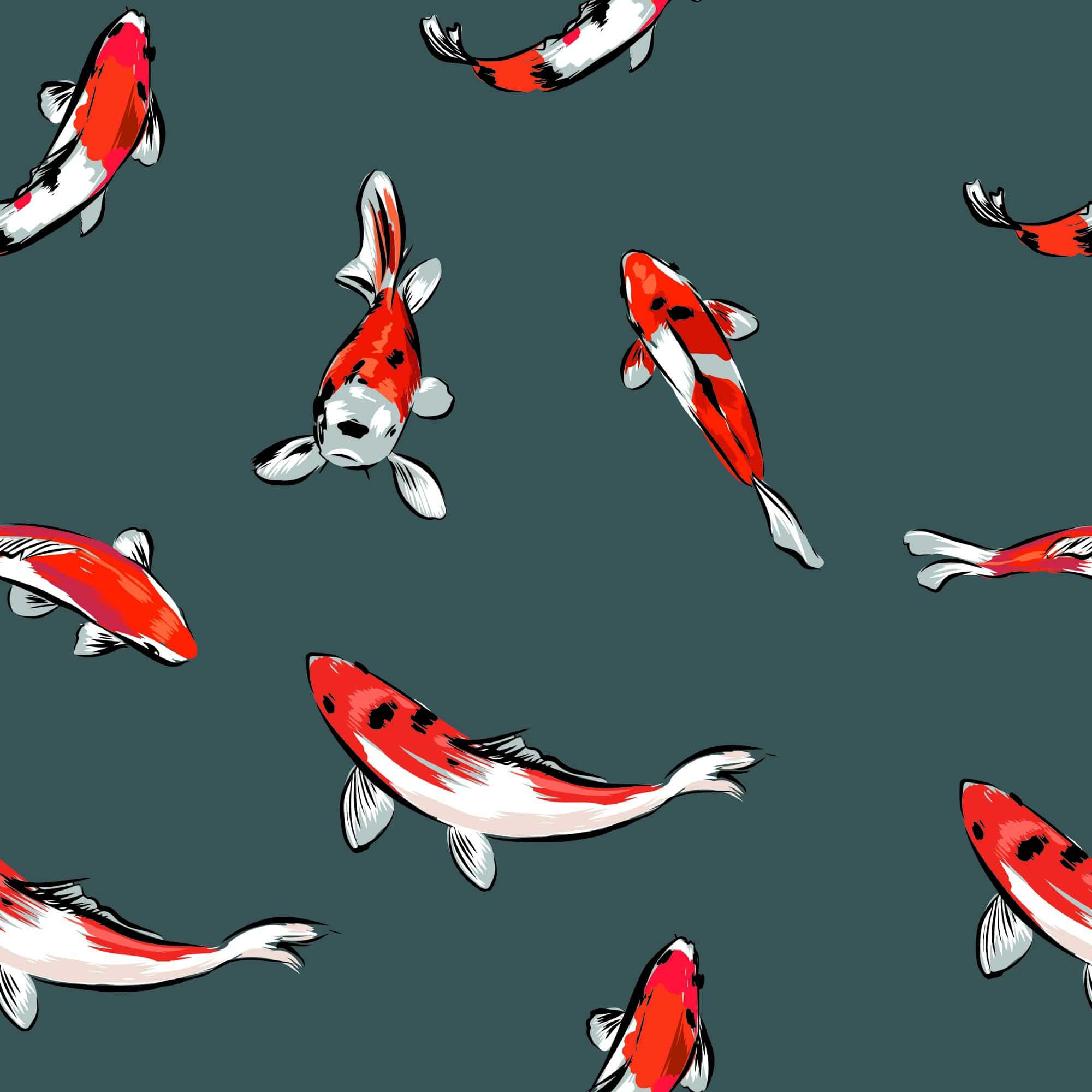 Minimalist Fish Wallpapers