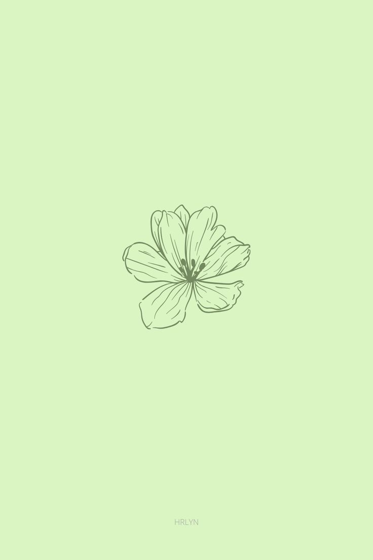 Minimalist Green Wallpapers