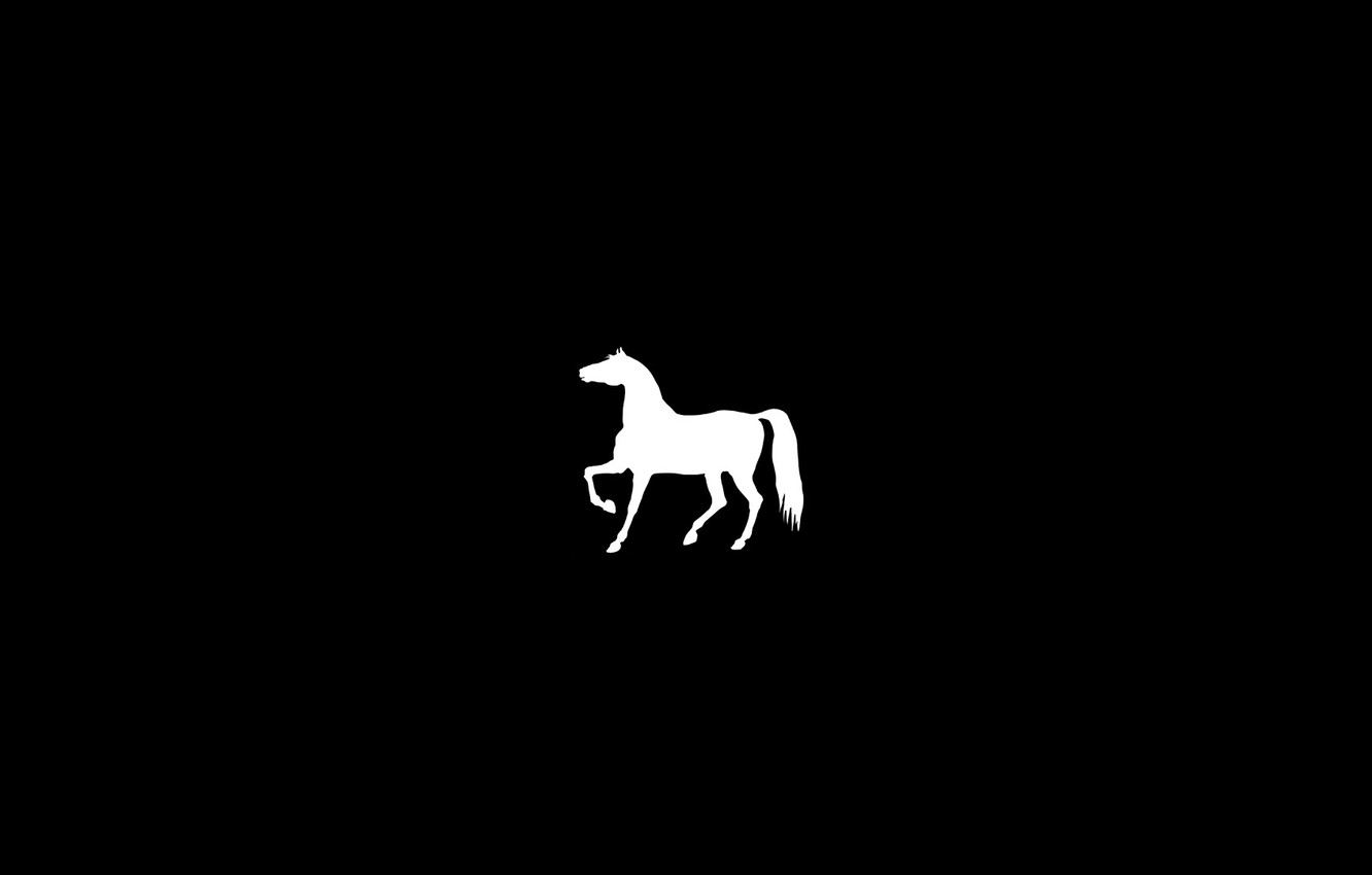 Minimalist Horse Wallpapers