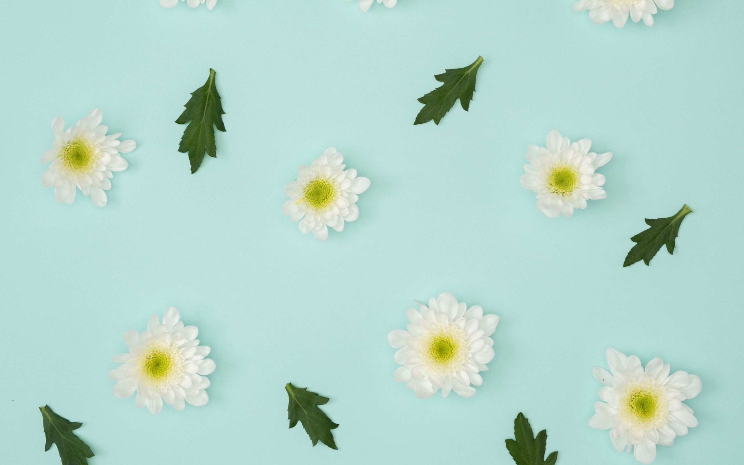 Minimalist Pastel Desktop Plant Wallpapers