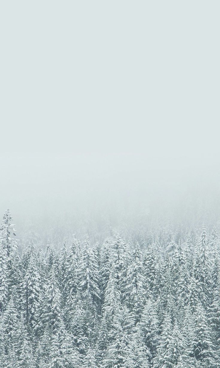 Minimalist Winter Wallpapers