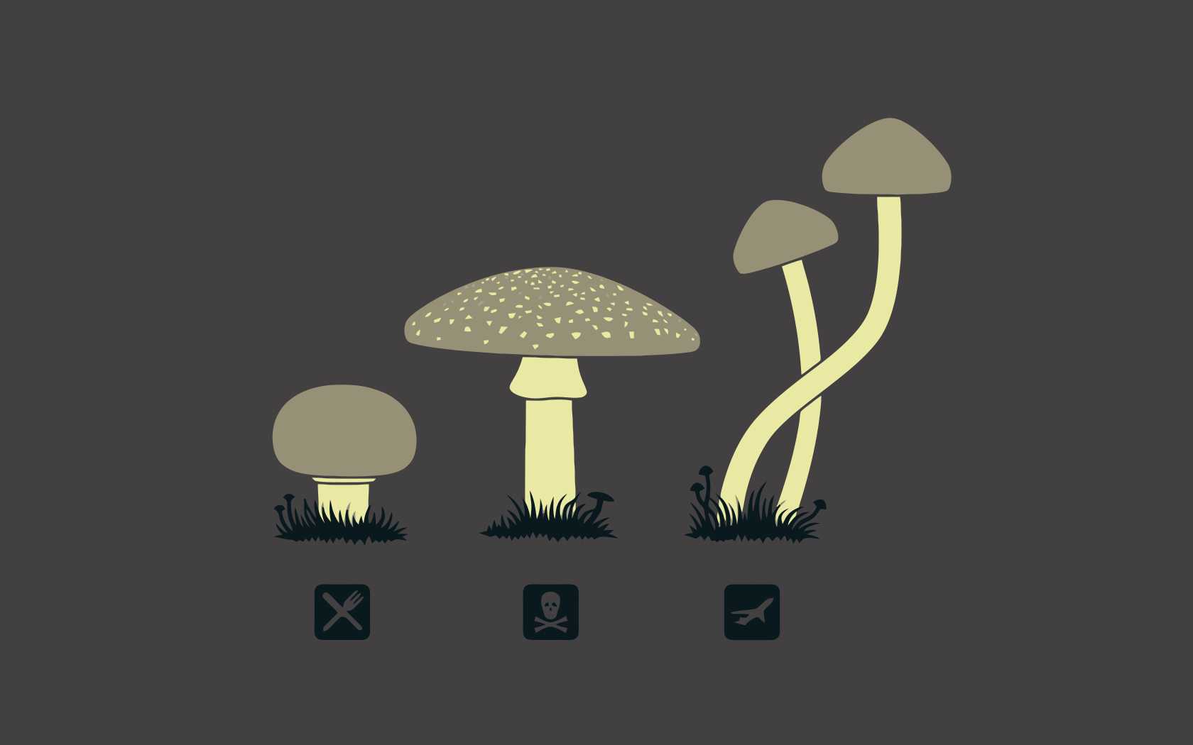 Mushroom Minimalism Wallpapers