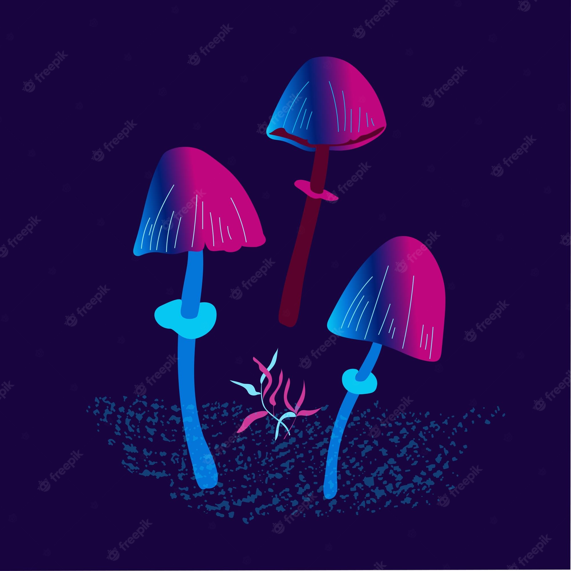 Mushroom Minimalism Wallpapers