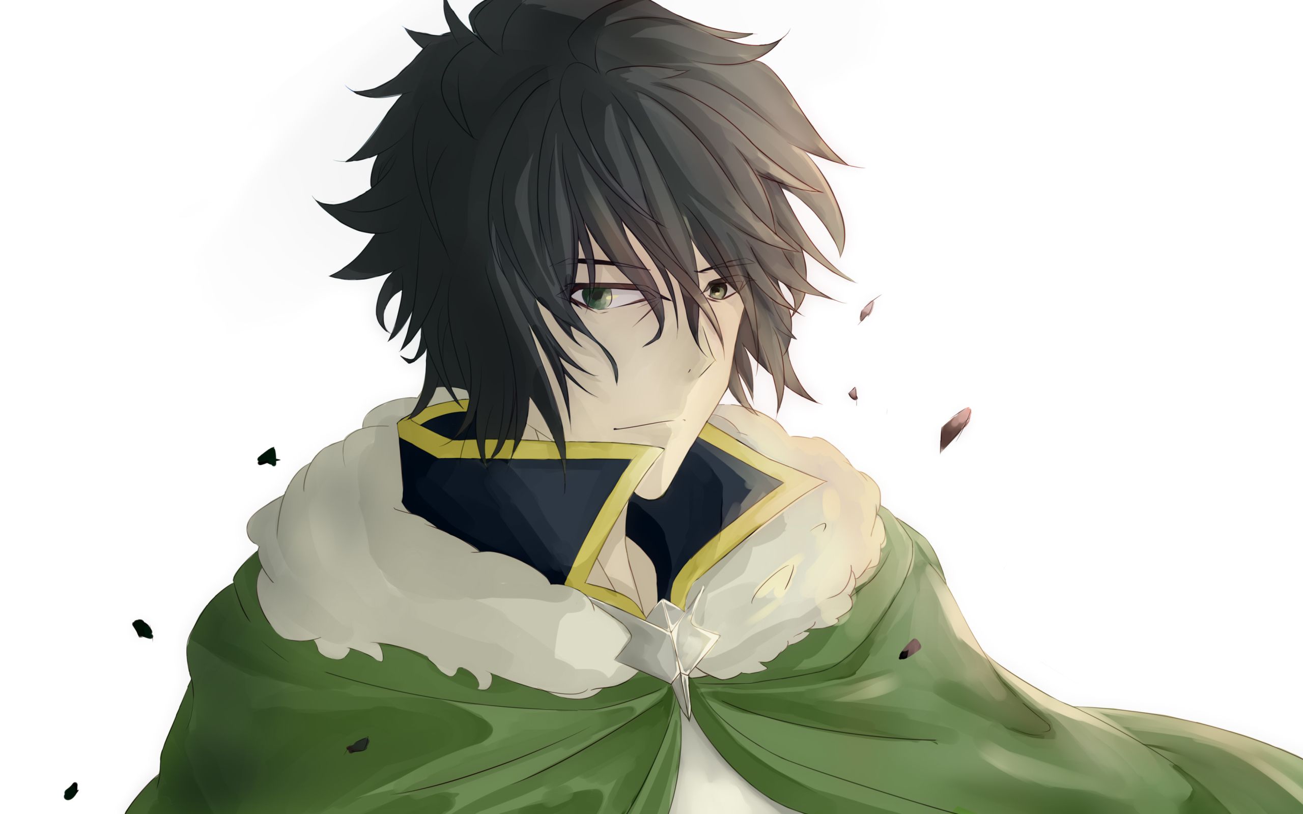 Naofumi Iwatani From The Rising Of The Shield Hero Wallpapers