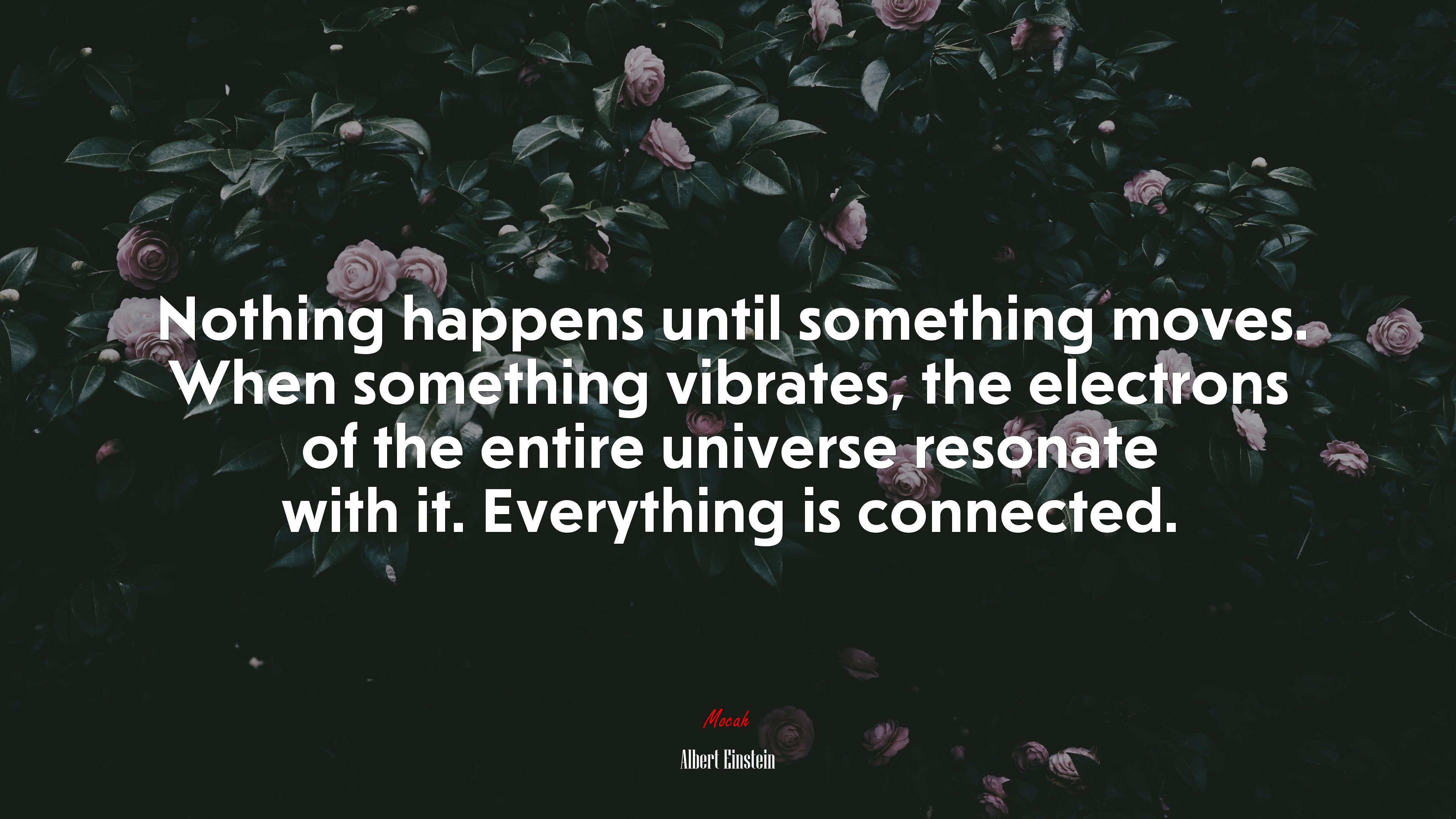 Netflix Dark Everything Is Connected Wallpapers