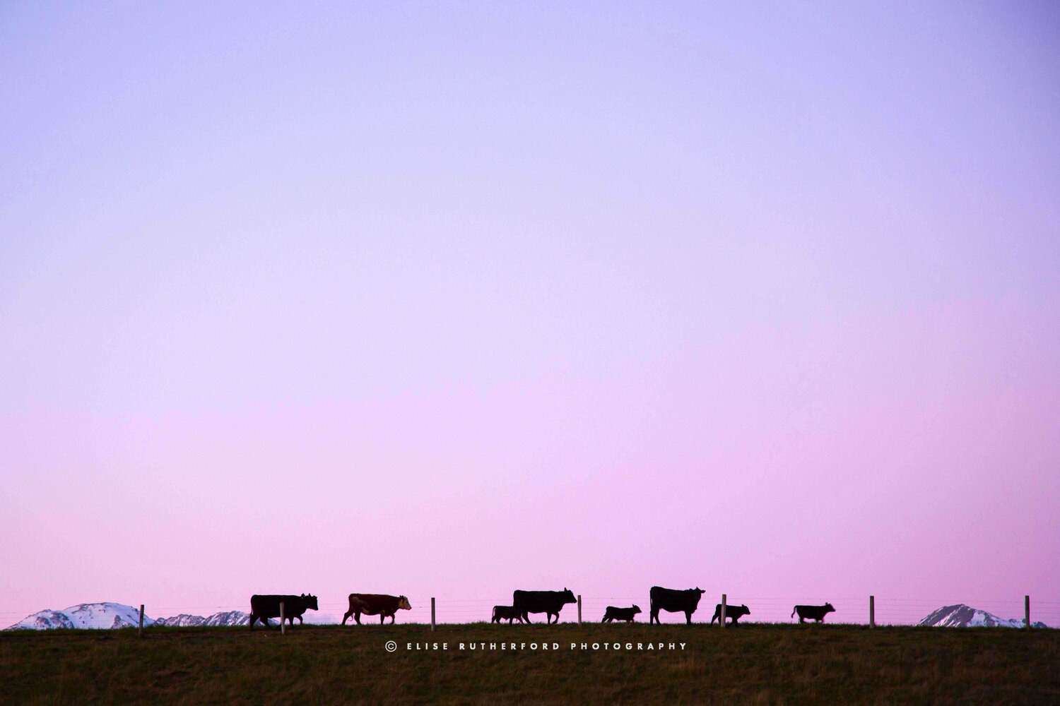 Purple Blu Sky And Truck Minimal Wallpapers