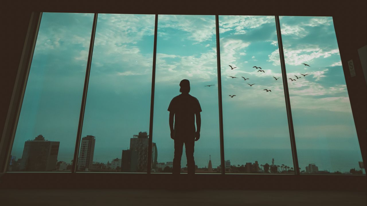 Silhouette Man And Birds Wallpapers