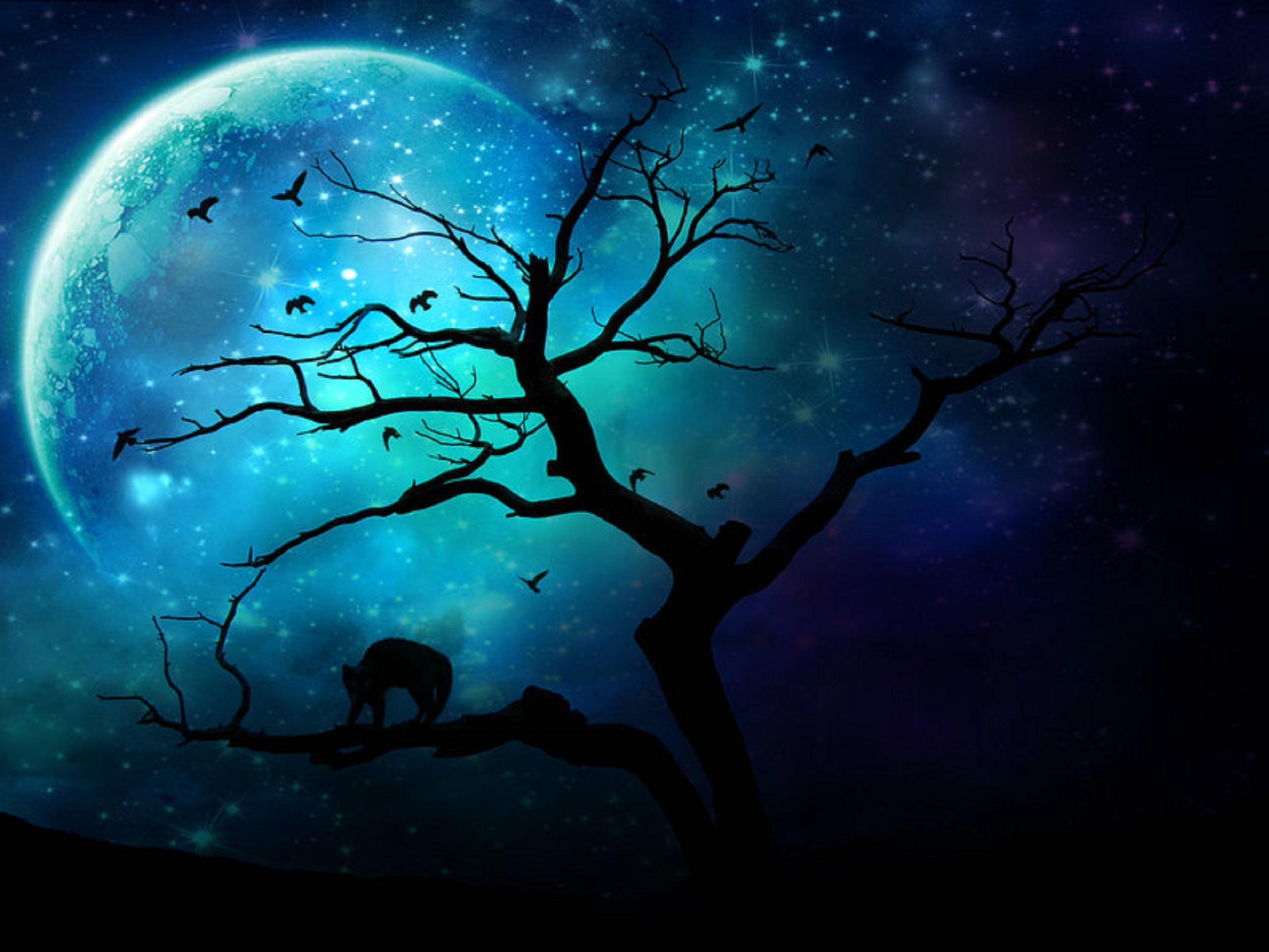 Tree Minimal Moon Wallpapers