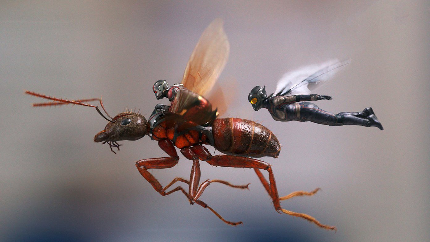 Wasp Minimal Art Ant-Man And The Wasp Wallpapers
