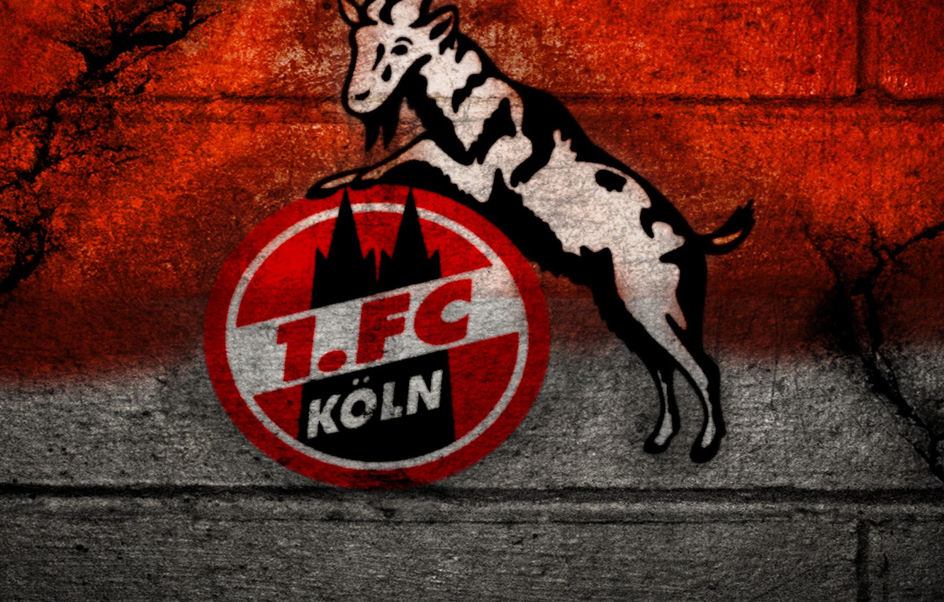 1. Fc KoLn Wallpapers