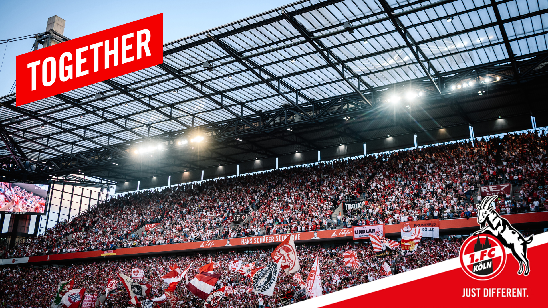 1. Fc KoLn Wallpapers