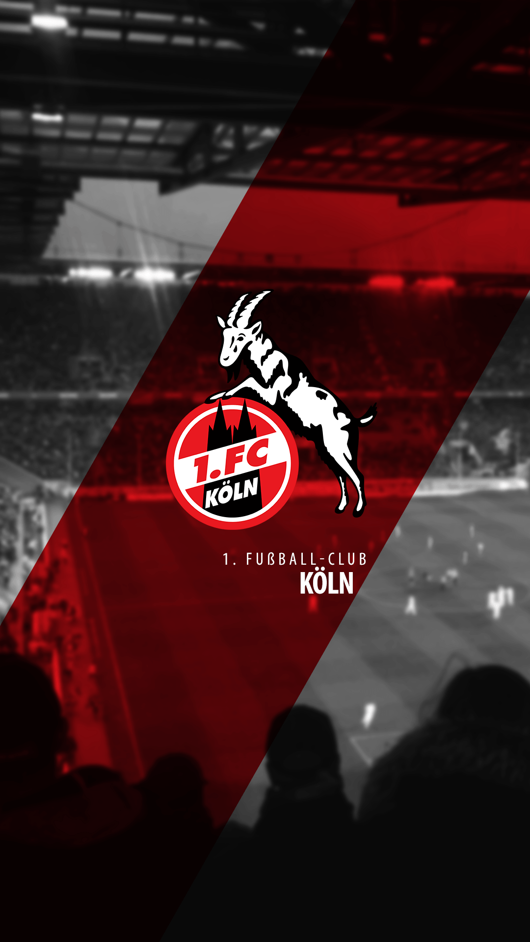 1. Fc KoLn Wallpapers