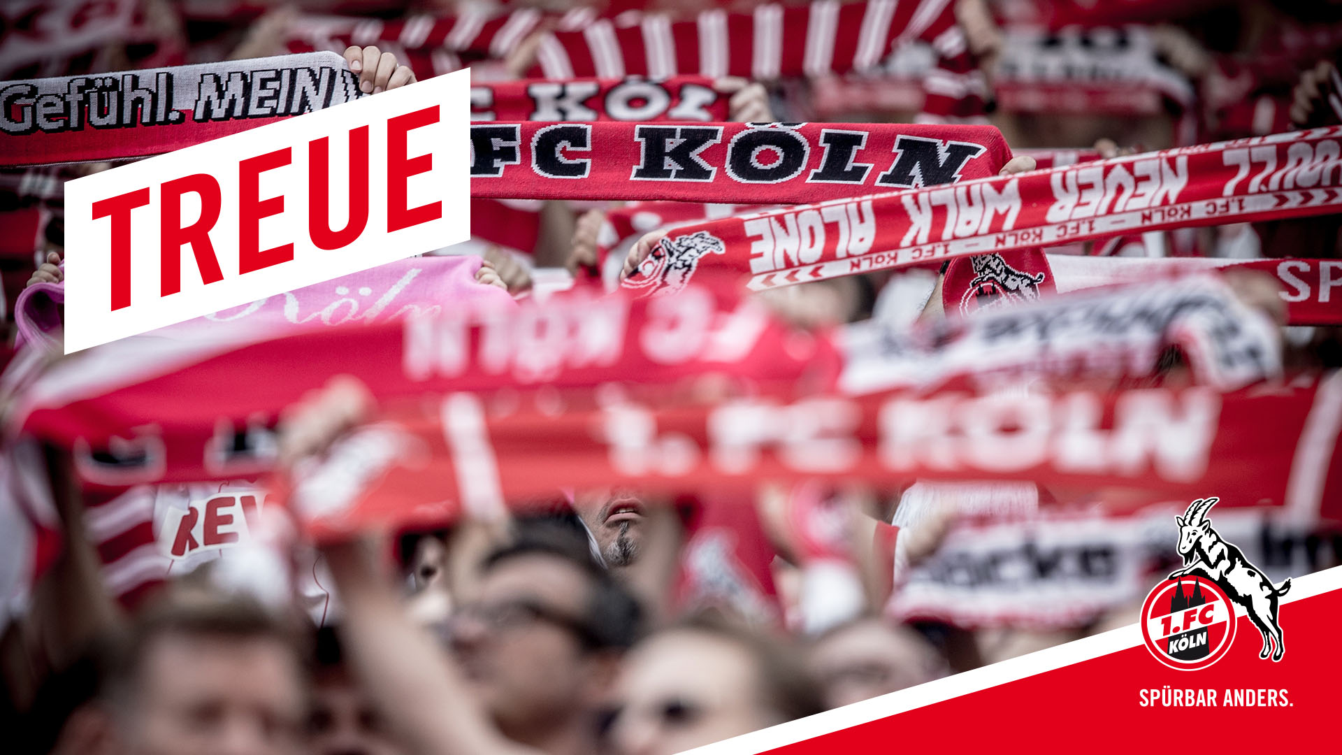 1. Fc KoLn Wallpapers