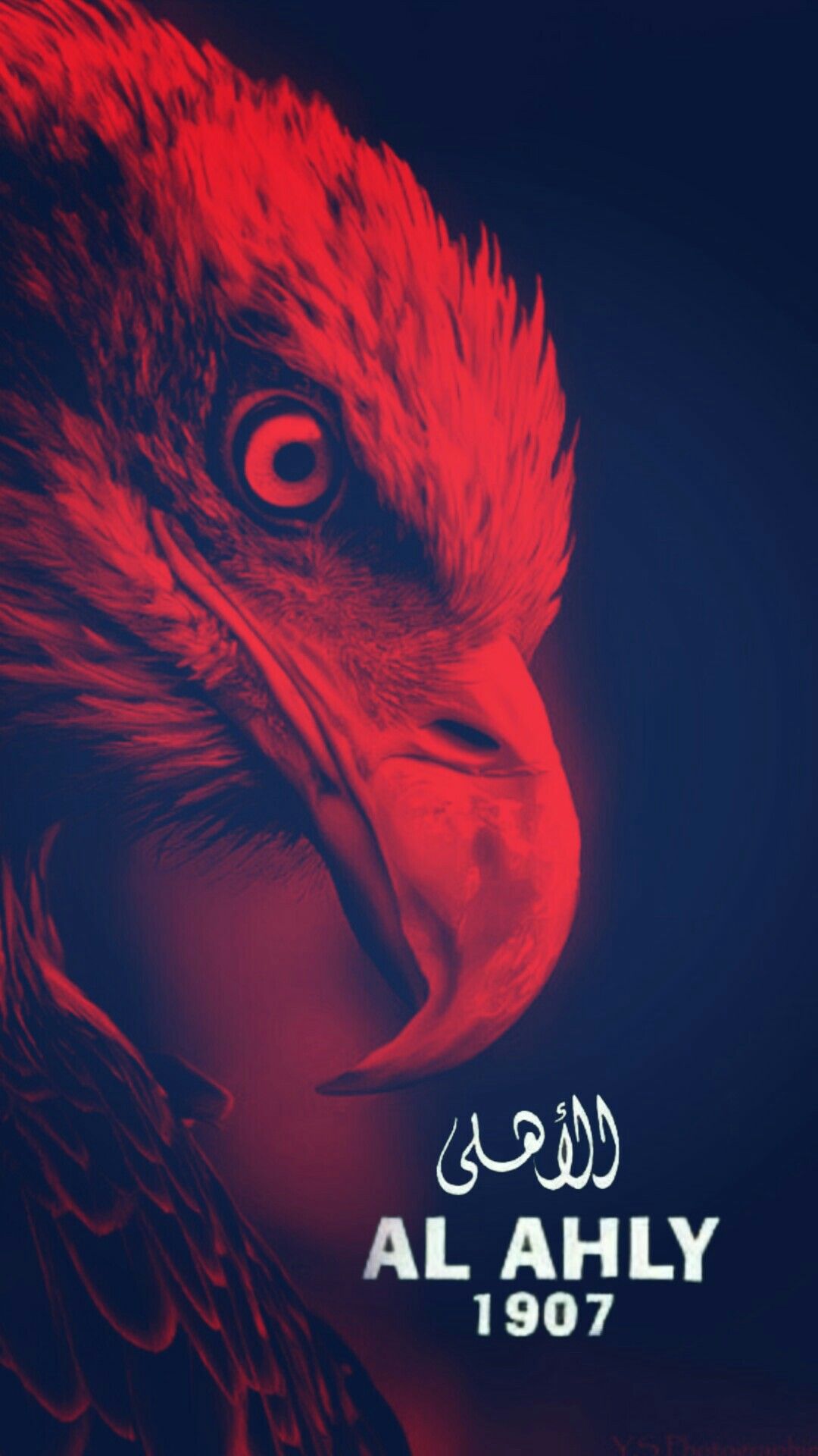 Al Ahly Sc Wallpapers